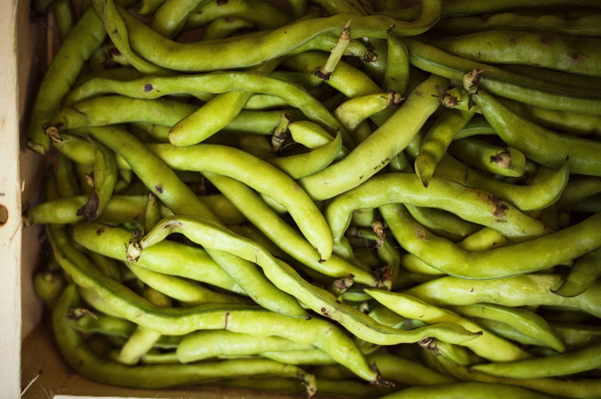 Fresh green beans representing EATTT's real food taste builders made through fermentation