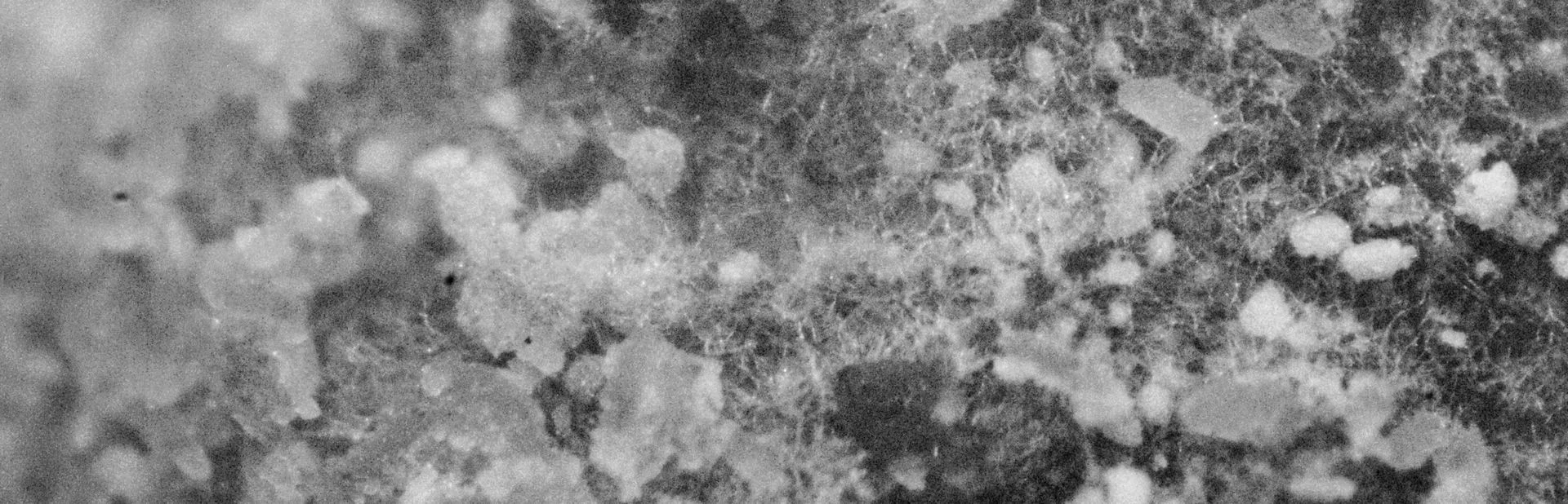 Texture macro en noir et blanc de fermentation, bannière de la page Innovation et Fermentation d'EATTT